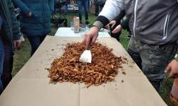 Na zimskom vašaru tražio se čvarak više!