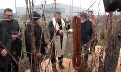 Dobar početak vinogradarske godine uz snijeg i hladnoću za Vincešku u Baranji