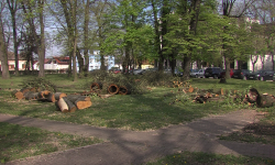 29 stabala za ''odstrel'', Mali park više desetljeća sustavno zanemaren
