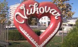 Najduža ulica u Čapljini nosi naziv po Vukovaru