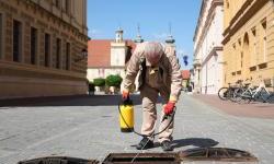 Kreću mjere dezinsekcije na javnim površinama grada Osijeka