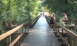 Obnovljen posljednji drveni most u vukovarskoj park šumi Adica