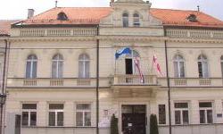 HDZ pobjednik ponovljenih izbora u Đakovu