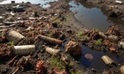 ''Tko je lisicu postavio da čuva kokoši? Za trovanje Like mora odgovarati cijeli lanac, od vrha sustava do vozača bagera!''