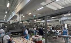Mlinar u Osijeku planira izgradnju novog pogona i otvaranje još 100 radnih mjesta