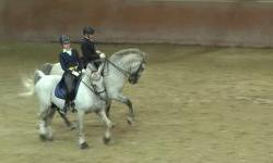 Đakovački lipicanci zaplesali u čast velikih obljetnica
