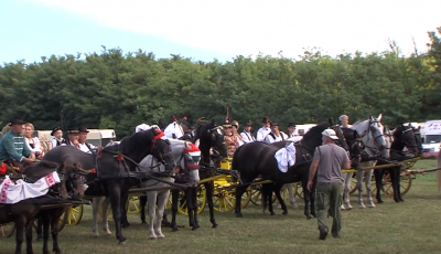 Svatovske zaprege zasjale u punom sjaju