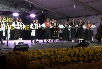 Čepinski suncokreti najljepši su čuvari tradicije i običaja