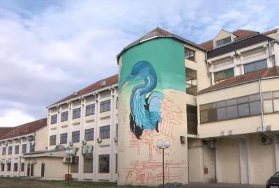 Na zgradi u središtu Vukovara u nastanku veliki mural ''Crna roda''