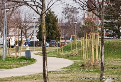Novi drvoredi na vukovarskim javnim površinama