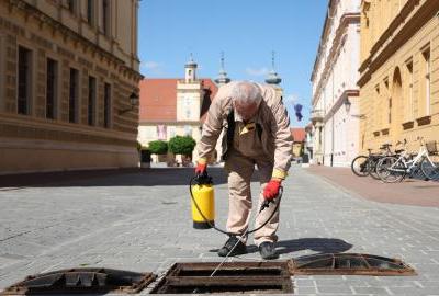 Kreću mjere dezinsekcije na javnim površinama grada Osijeka