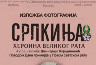 Pavliček traži odgodu izložbe 