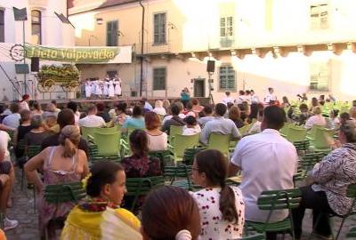 Valpovo se priprema za 31. Fišijadu u Nardu, u rujnu 8. Craft beer festival