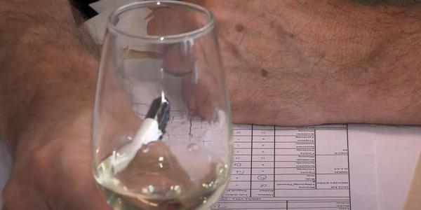 U ocjenjivanju vina za ovogodišnji Vinatlon sudjelovali i novinari