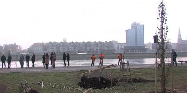 Osijek ponovno predvodnik zelenih promjena - najuspješniji u projektu „Od izvora do mora“