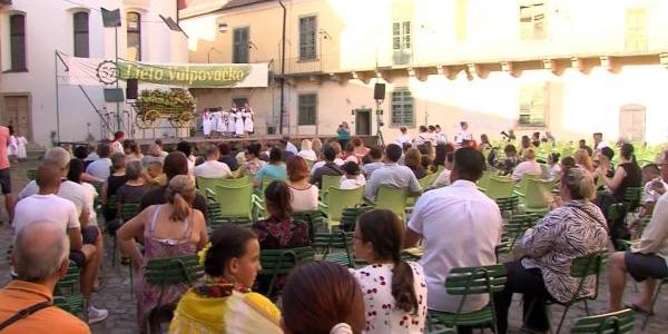 Valpovo se priprema za 31. Fišijadu u Nardu, u rujnu 8. Craft beer festival