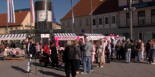 Smrtnost od raka dojke u stalnom padu u Hrvatskoj i Osječko-baranjskoj županiji