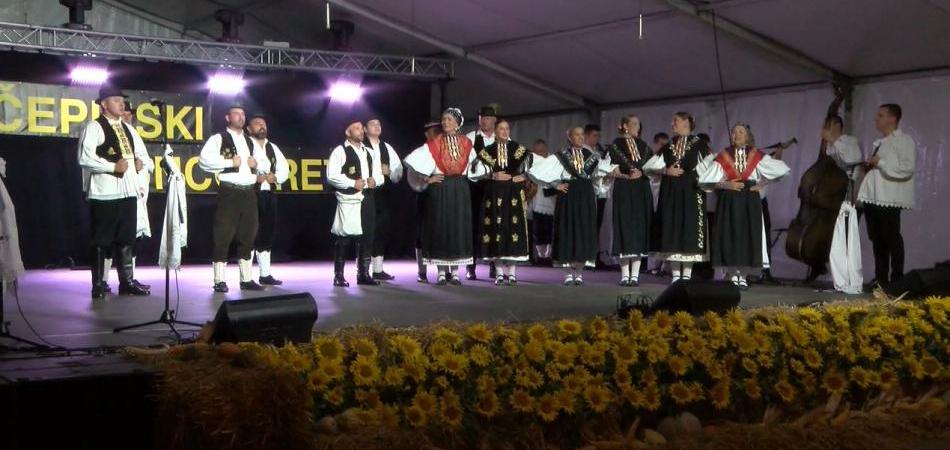 Čepinski suncokreti najljepši su čuvari tradicije i običaja