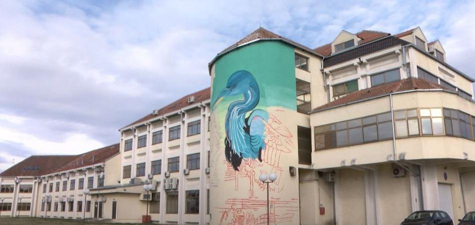 Na zgradi u središtu Vukovara u nastanku veliki mural ''Crna roda''