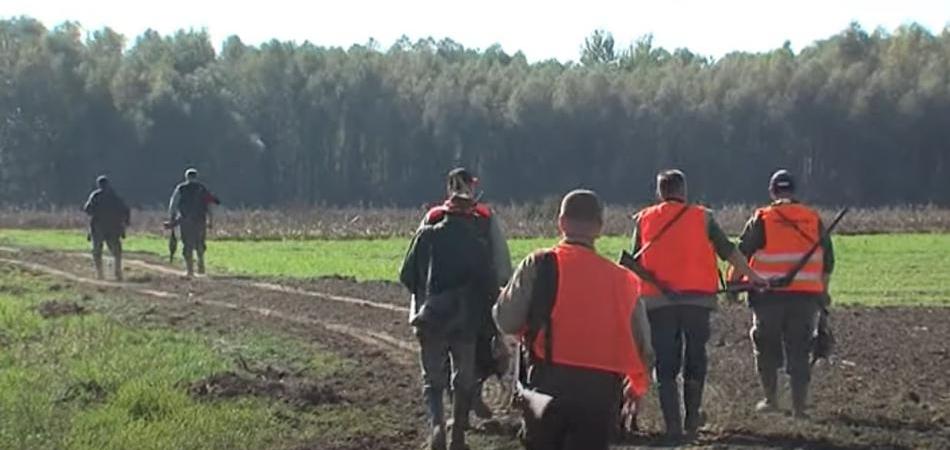 Lovci Osječko-baranjske županije na prvoj crti obrane od afričke svinjske kuge