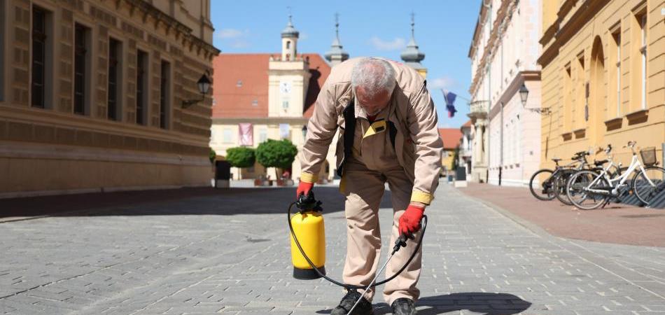 Kreću mjere dezinsekcije na javnim površinama grada Osijeka
