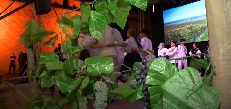 58. Iločka berba slavila plemenitu kapljicu i 500 godina Statuta grada vinove loze