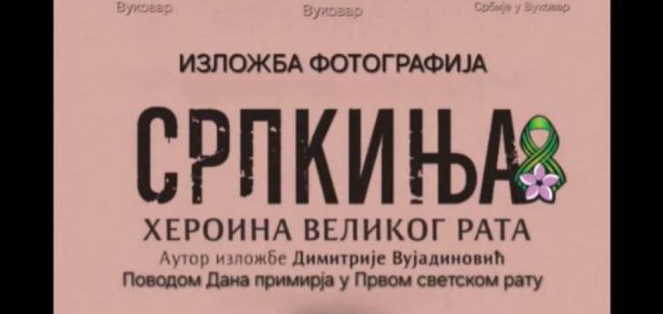 Pavliček traži odgodu izložbe 