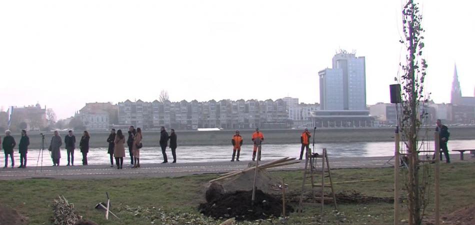 Osijek ponovno predvodnik zelenih promjena - najuspješniji u projektu „Od izvora do mora“