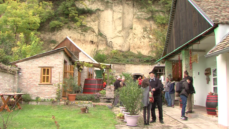Baranja dobila još jednu vinsku manifestaciju – Vinatlon u Zmajevcu
