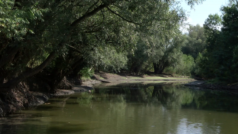 U Bilju će se otvoriti Pokušalište za pčele i Centar za praćenje ugroženih vrsta