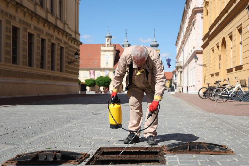 Kreću mjere dezinsekcije na javnim površinama grada Osijeka