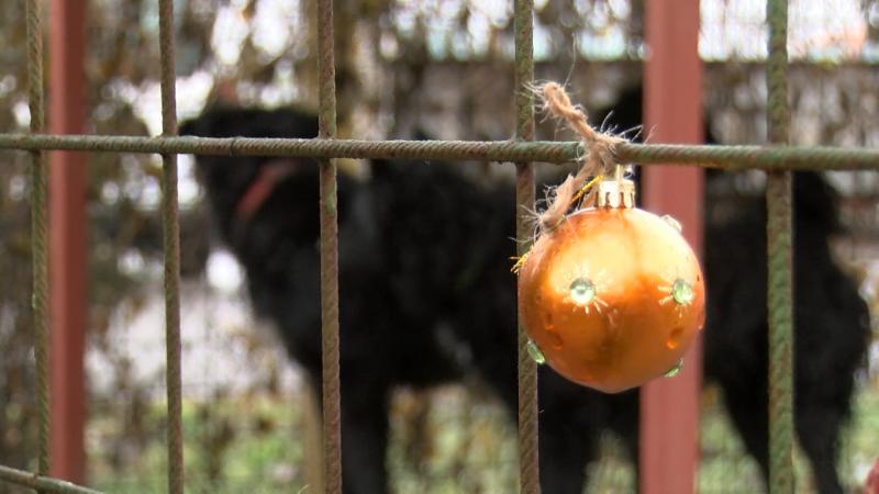 Ručak u azilu za Božić u zajedništvu